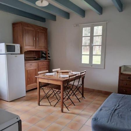 Ferienwohnung Le Petit Frouas Sud Vielle-Saint-Girons Exterior foto