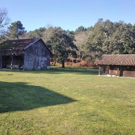 Ferienwohnung Le Petit Frouas Sud Vielle-Saint-Girons Exterior foto