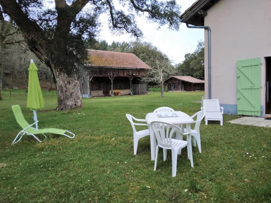 Ferienwohnung Le Petit Frouas Sud Vielle-Saint-Girons Exterior foto