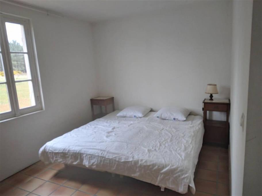 Ferienwohnung Le Petit Frouas Sud Vielle-Saint-Girons Exterior foto